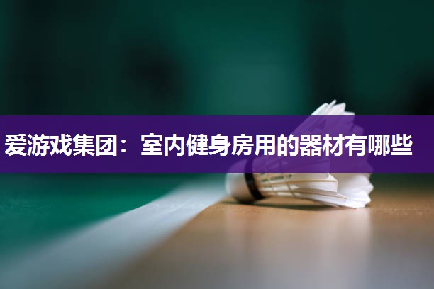 爱游戏集团：室内健身房用的器材有哪些