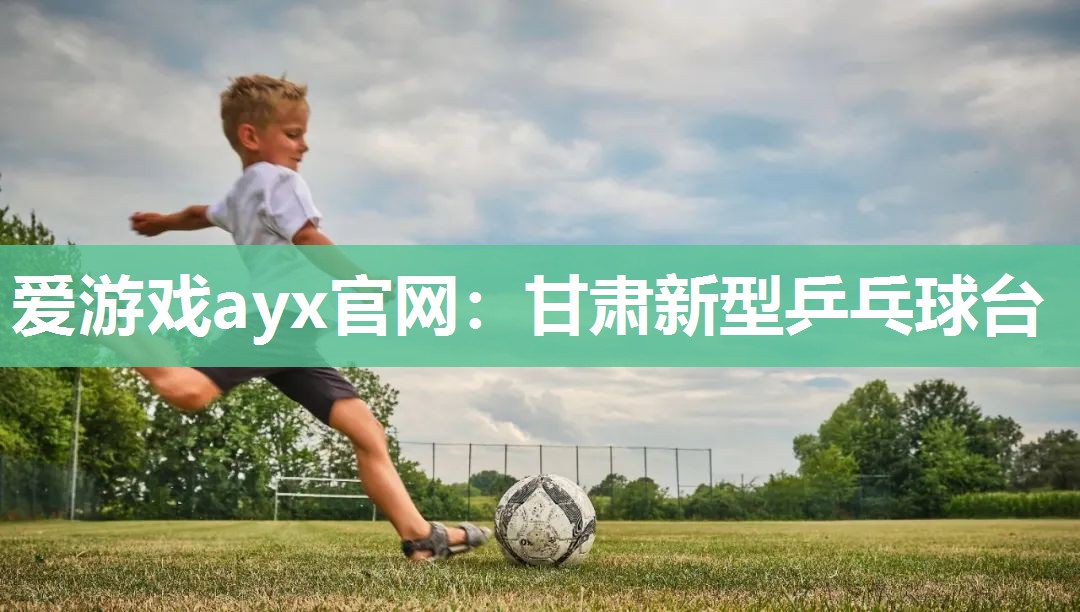 爱游戏ayx官网：甘肃新型乒乓球台