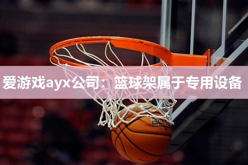 爱游戏ayx公司：篮球架属于专用设备