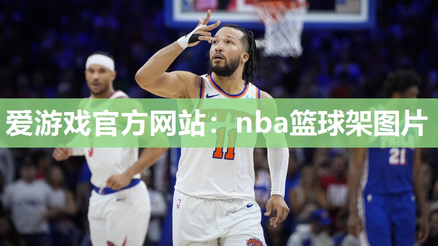 爱游戏官方网站：nba篮球架图片