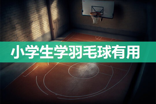 小学生学羽毛球有用