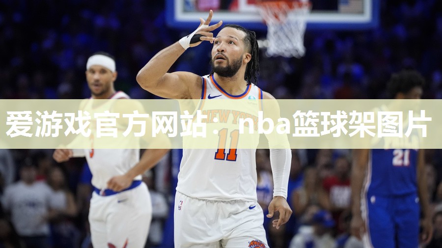 nba篮球架图片